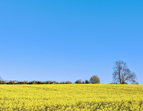 Was man in der Karwoche in Deutschland auf keinen Fall vergessen darf.
