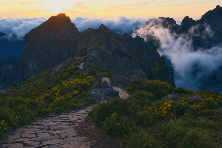 Stop letting other people run your life