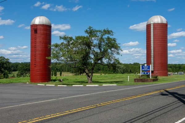 Two red farm silos with domed metal caps standing either side of an old tree on Mountain Avenue in Warren Township, a blue Wagner Farm Arboretum sign at the base of the right silo.