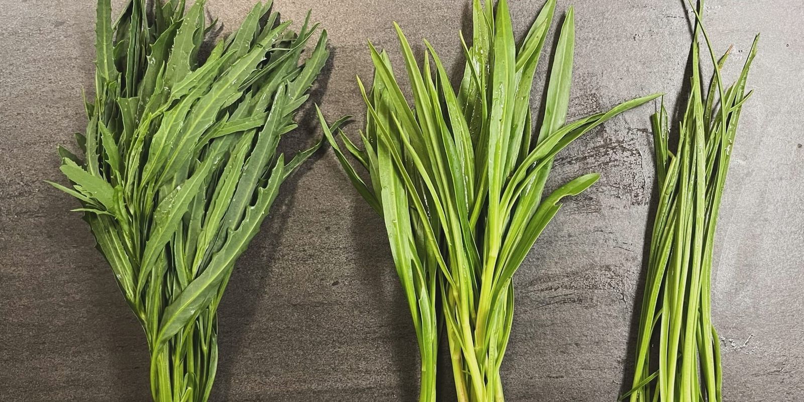 Tre strandurter du skal kende