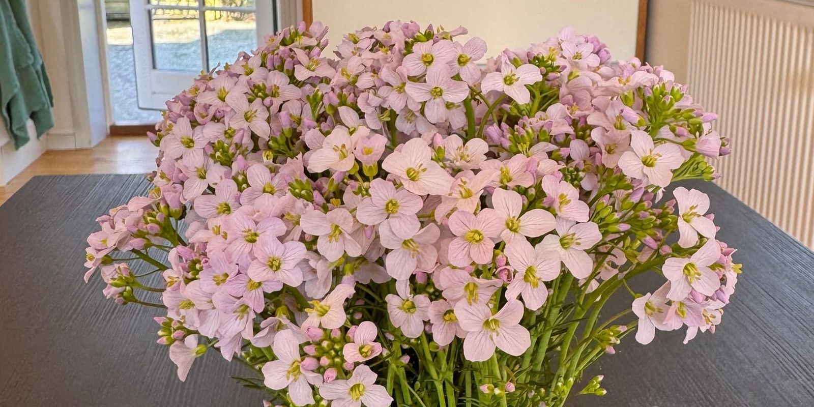 Engkarse - den vilde velkomstgave