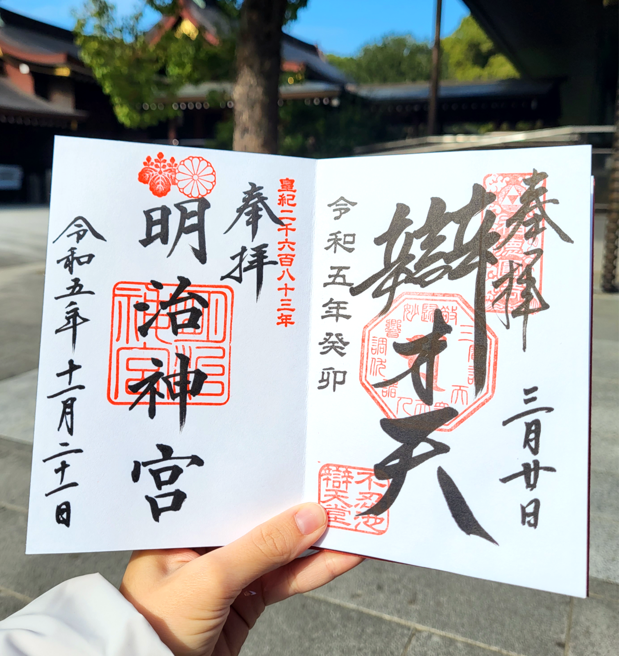 A girl holding a sacred Goshuin notebook in front of a Japanese shrine in Tokyo