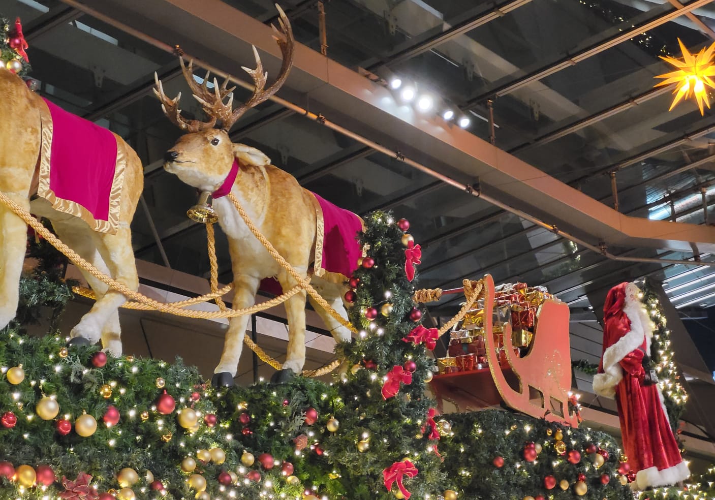 Christmas Santa Sleigh with Reindeer and festive Christmas decorations. 