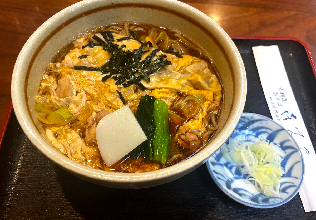 A comforting bowl of udon noodles with egg and green onions on the side