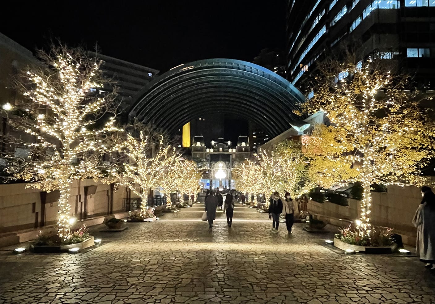 Yebisu Gardens path, illuminated by glowing lights wrapped around trees.