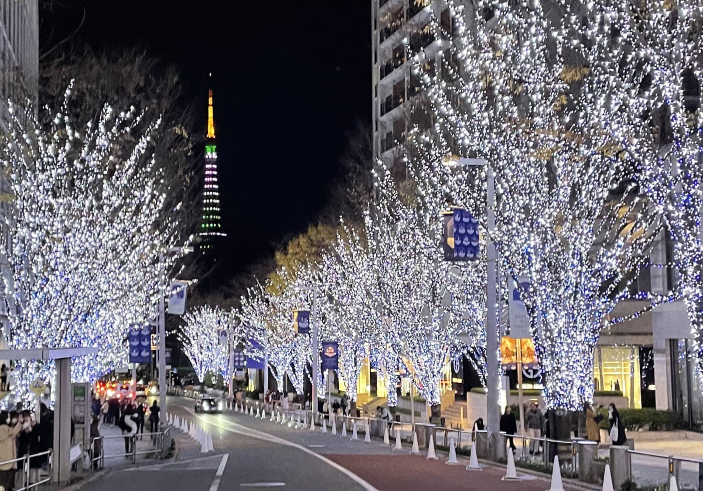 Illuminated trees line Keyakizaka Street at night. A colorful Tokyo Tower in the background.