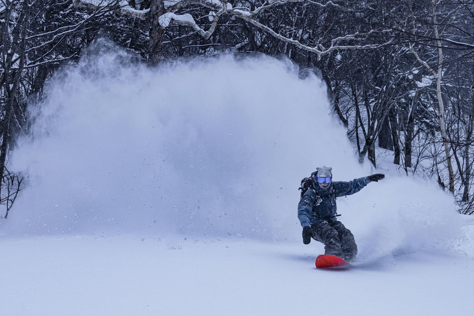 Person Snowboarding among Trees in Hokkaido