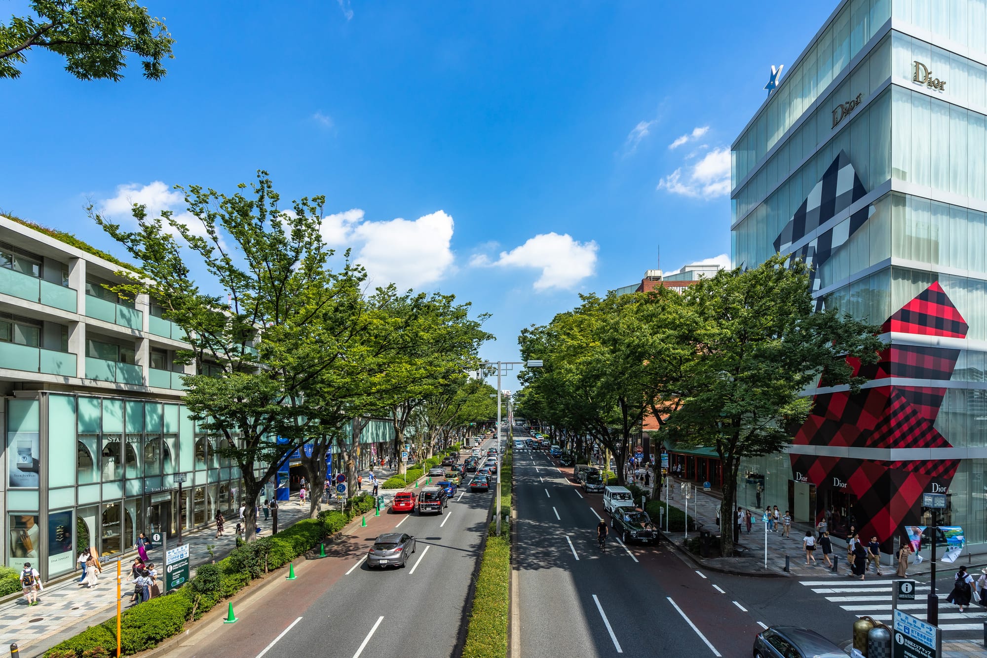 Bustling street of Omotesando with cars and pedestrians, lined by modern buildings and green trees.