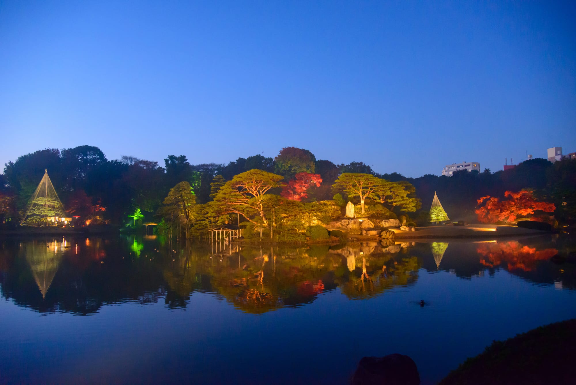 Illuminated Rikugien at dusk with vibrant autumn trees reflected in a serene pond.