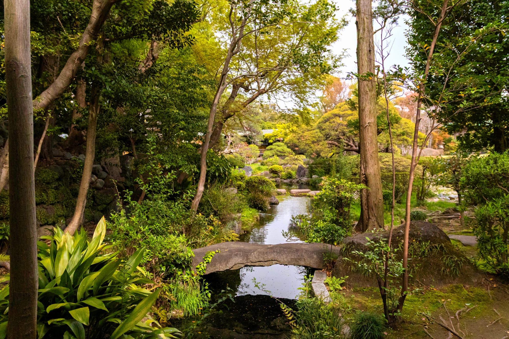 Beautiful nature in a Japanese Garden in Shibamata, Tokyo
