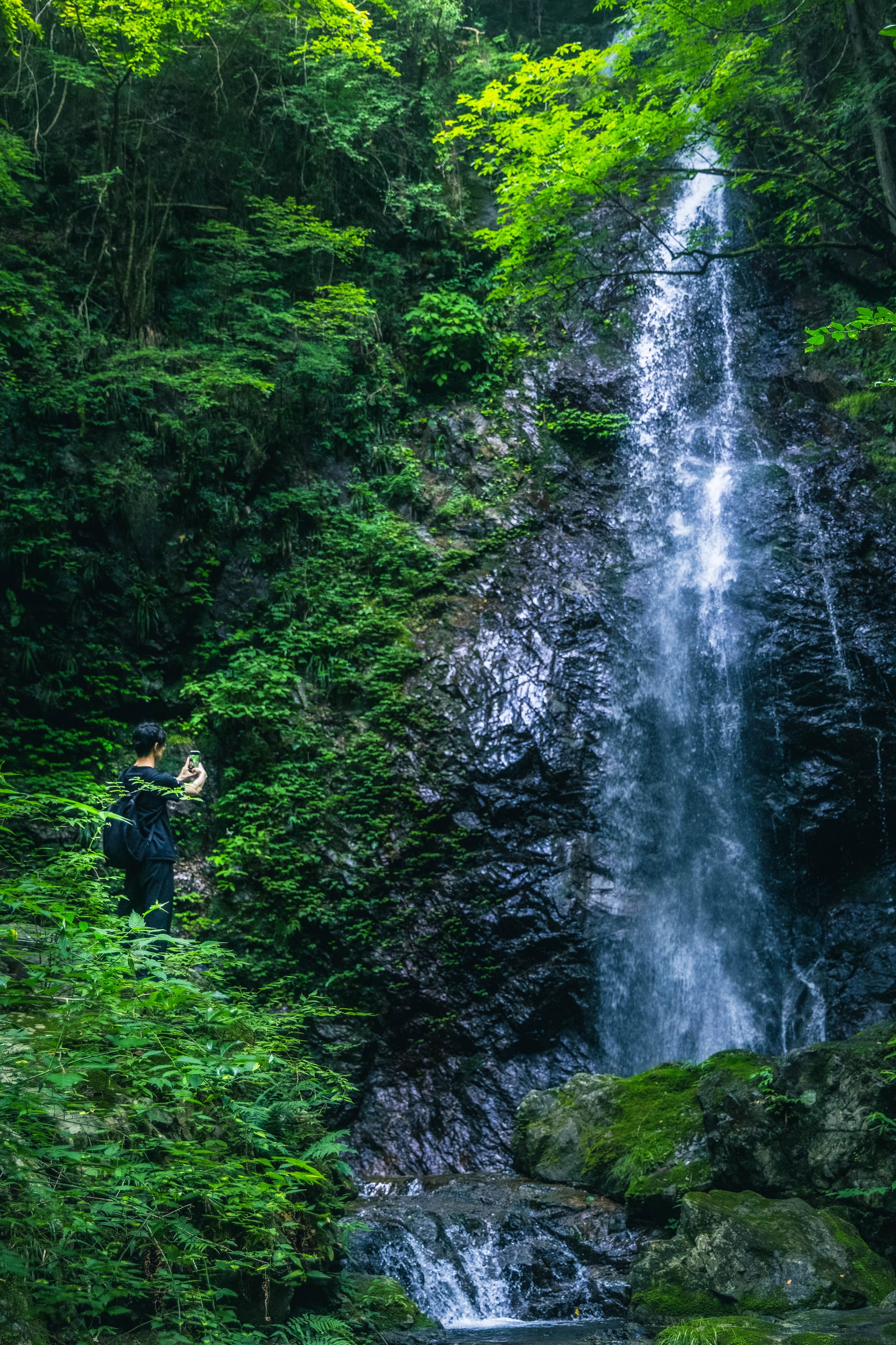 Person photographing a tall waterfall in a lush, green forest. Water cascades over rocks. 