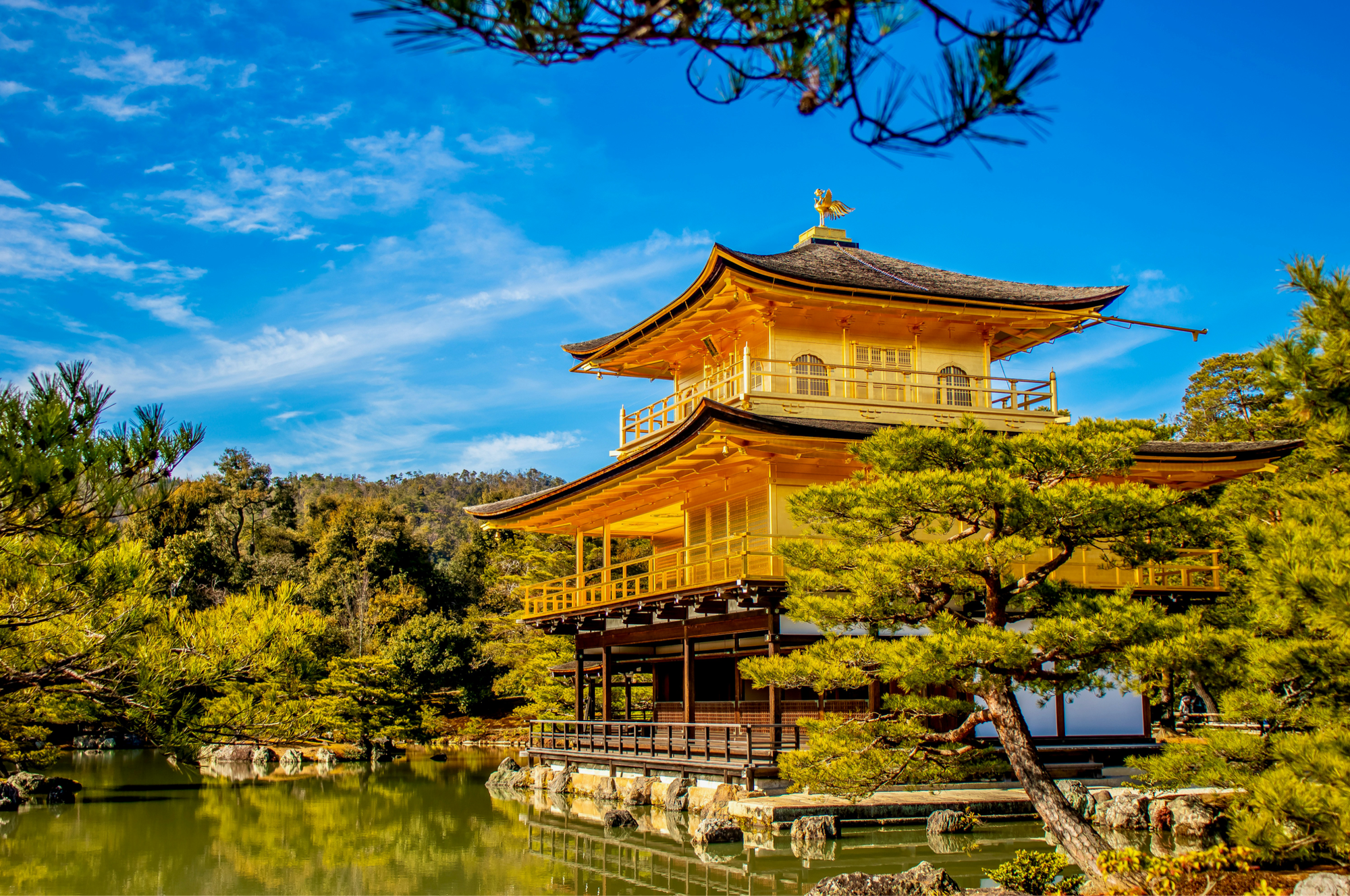 Golden pavilion reflects on a serene pond, surrounded by green trees