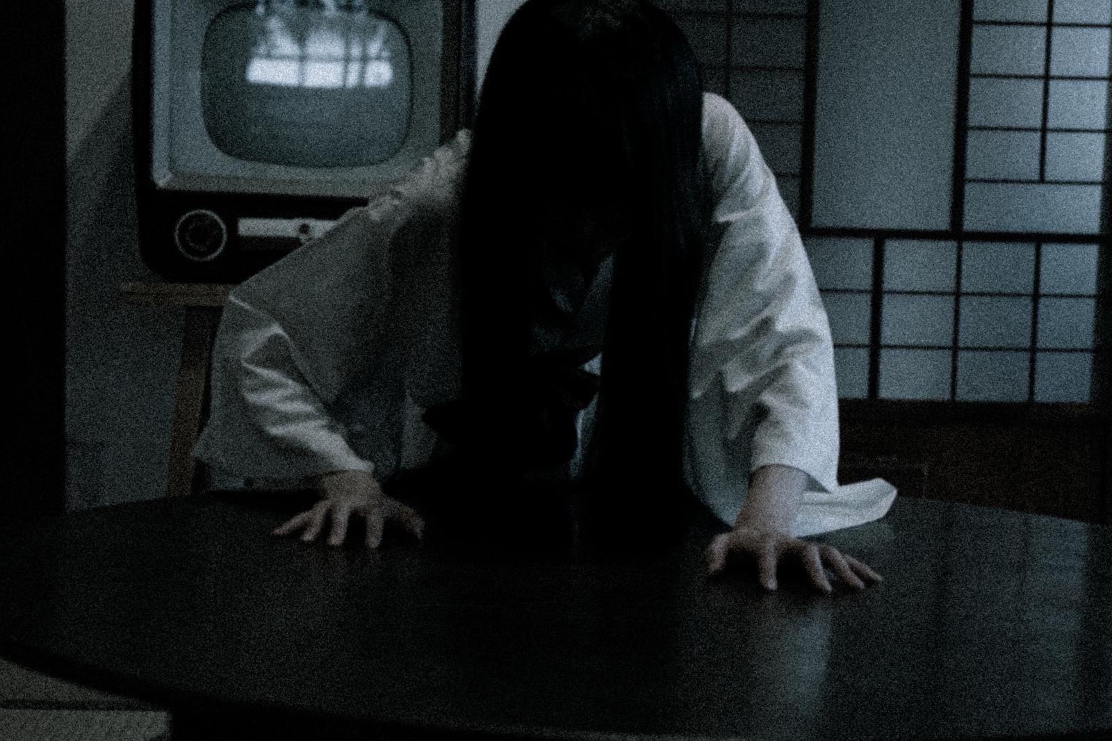 A ghost in a white dress with long black hair in a Japanese-style room with sliding doors and an old-school television set behind her