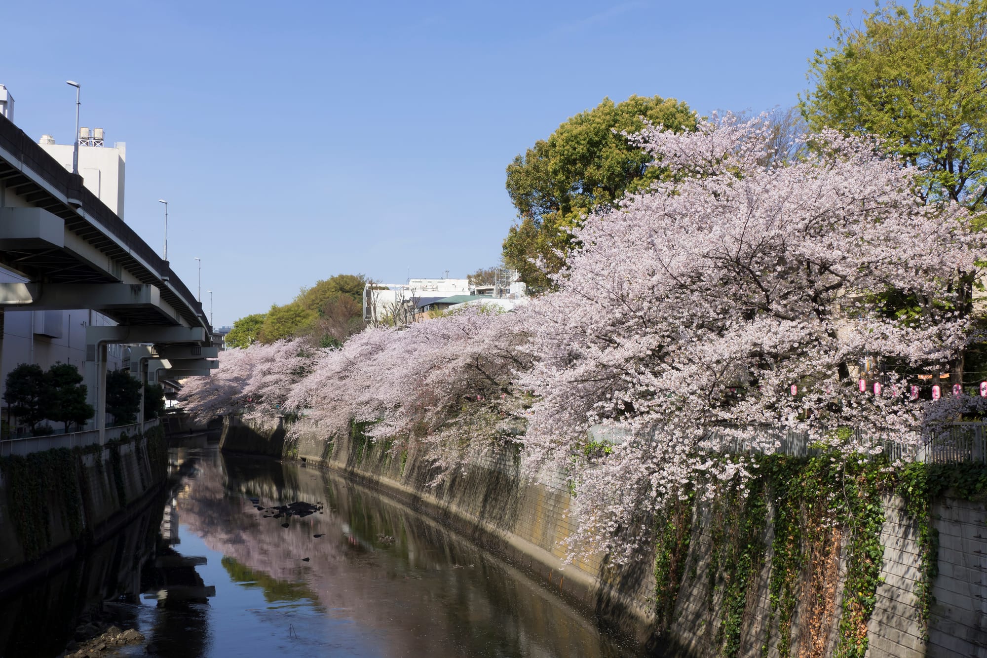 Edogawa Park near Edogawabashi