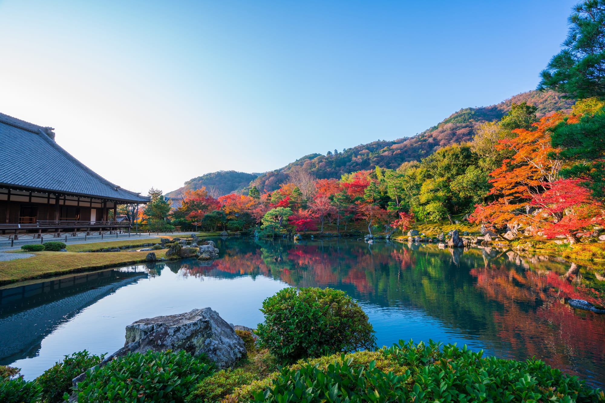 Autumn leaves at Tenryu-ji Temple in Kyoto