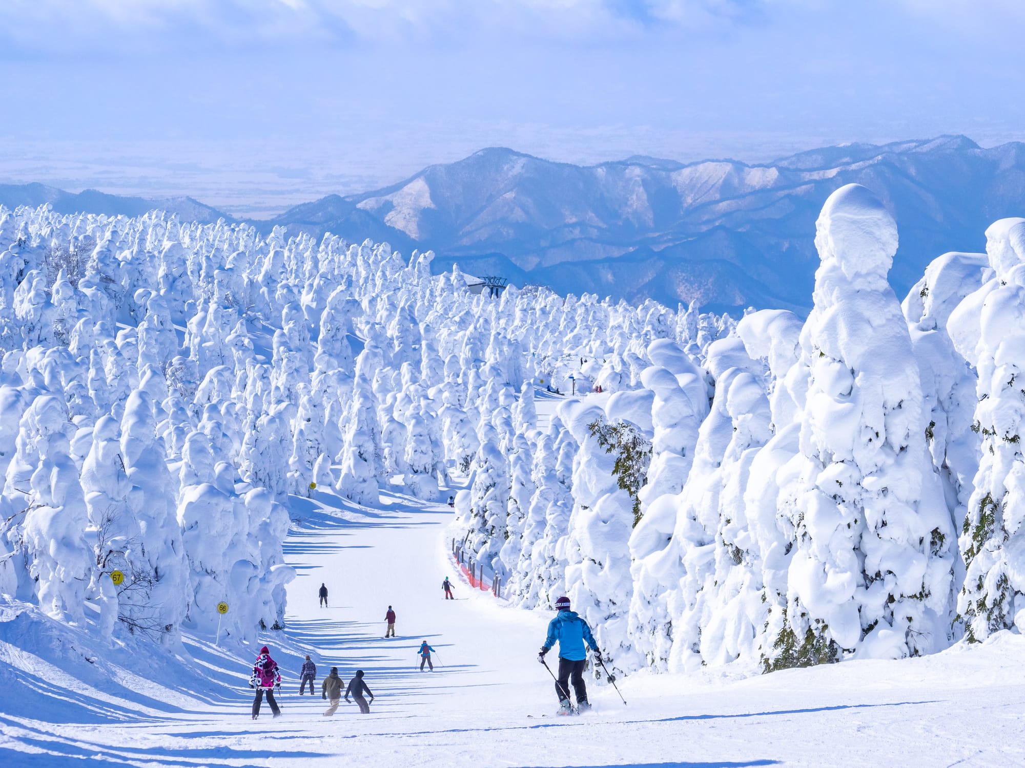 Skiers on a snow-covered slope flanked by frosty trees under a clear sky.