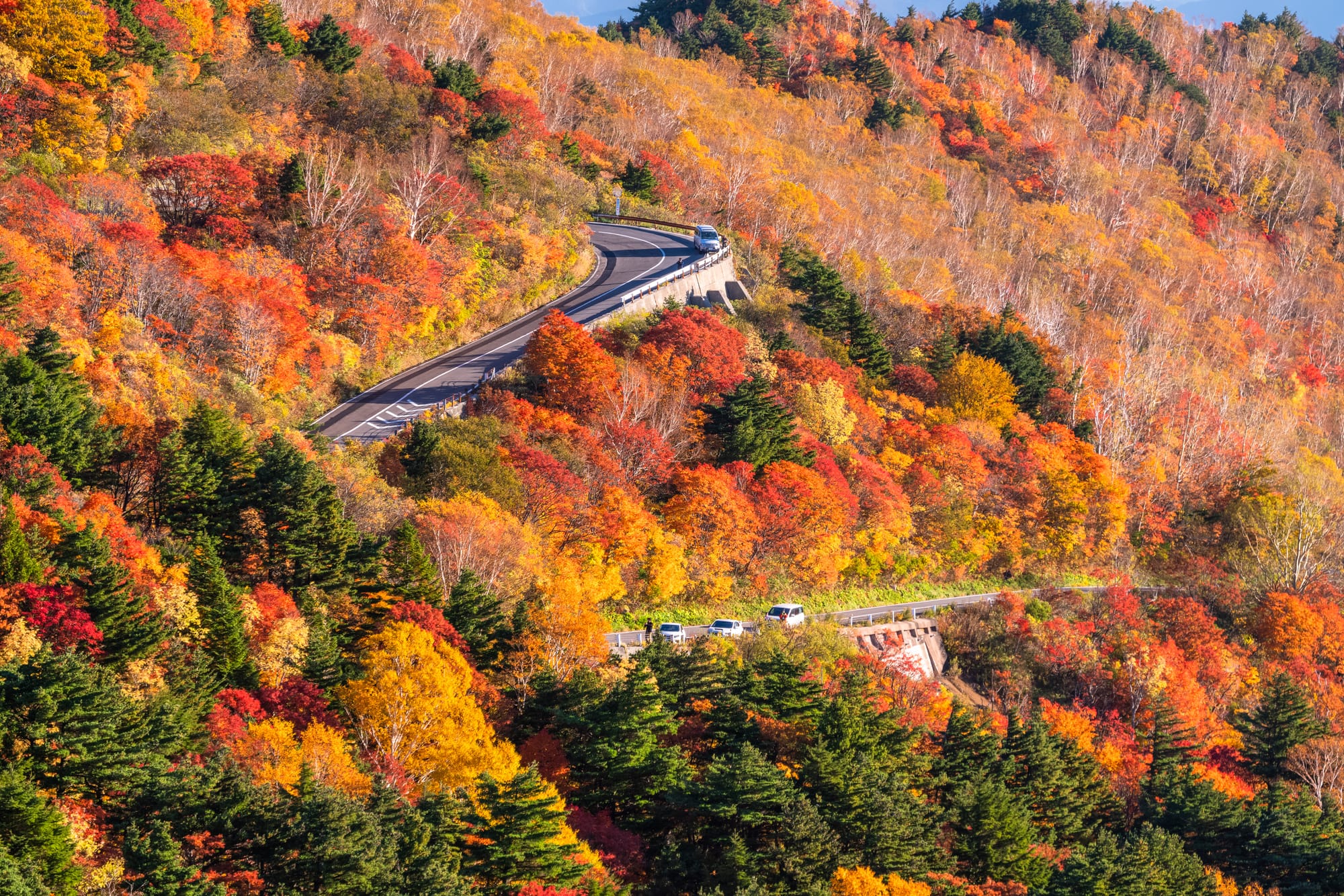 Autumn leaves at Tengu Garden and Bandai-Azuma Skyline