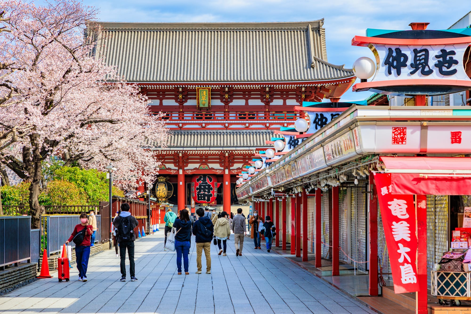 Street heading towards Senso-ji temple. Along the way is a fully blossomed cherry blossom tree.