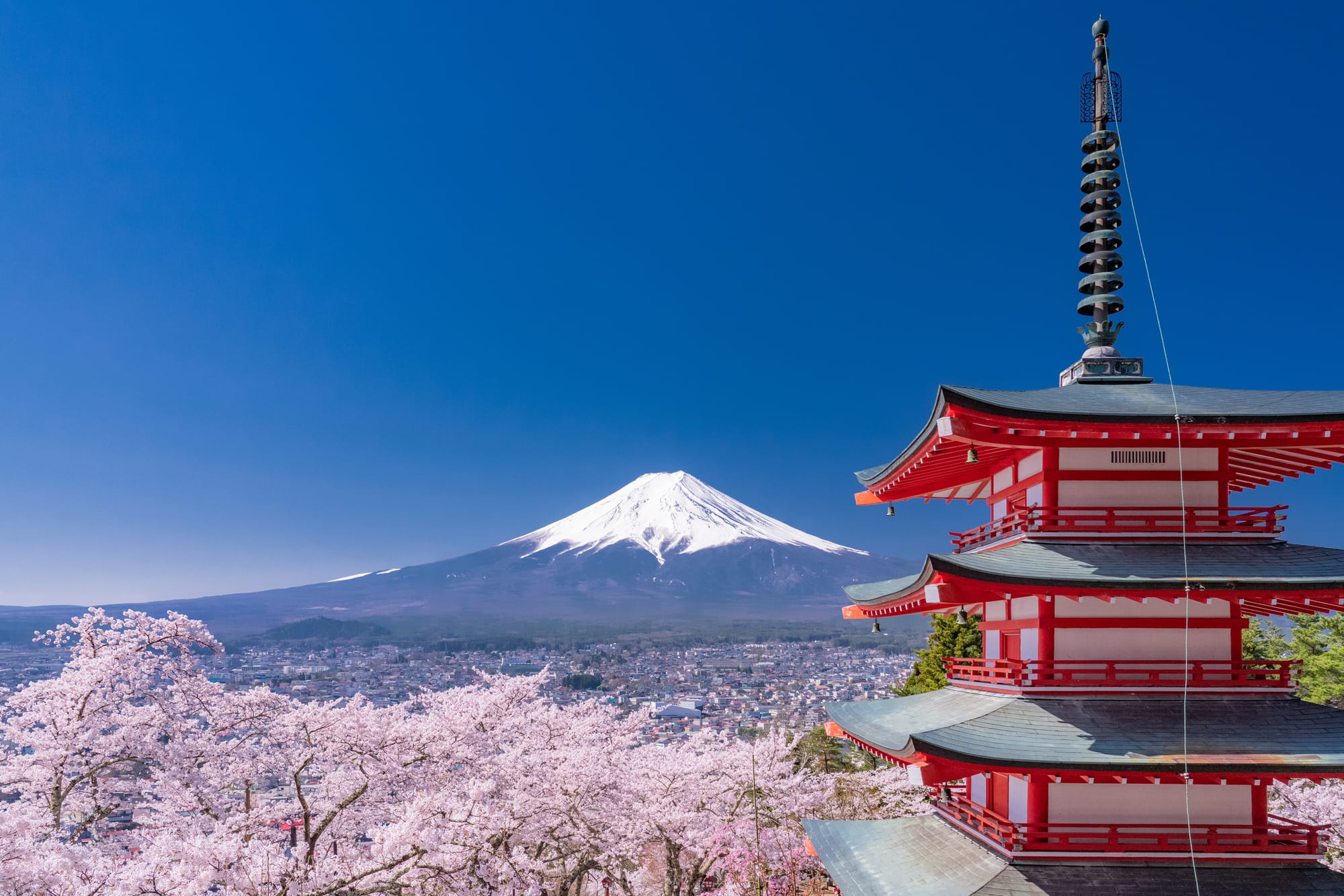 Chureito Pagoda overlooking cherry blossoms with Mount Fuji in the background during spring in Fujiyoshida, Japan.