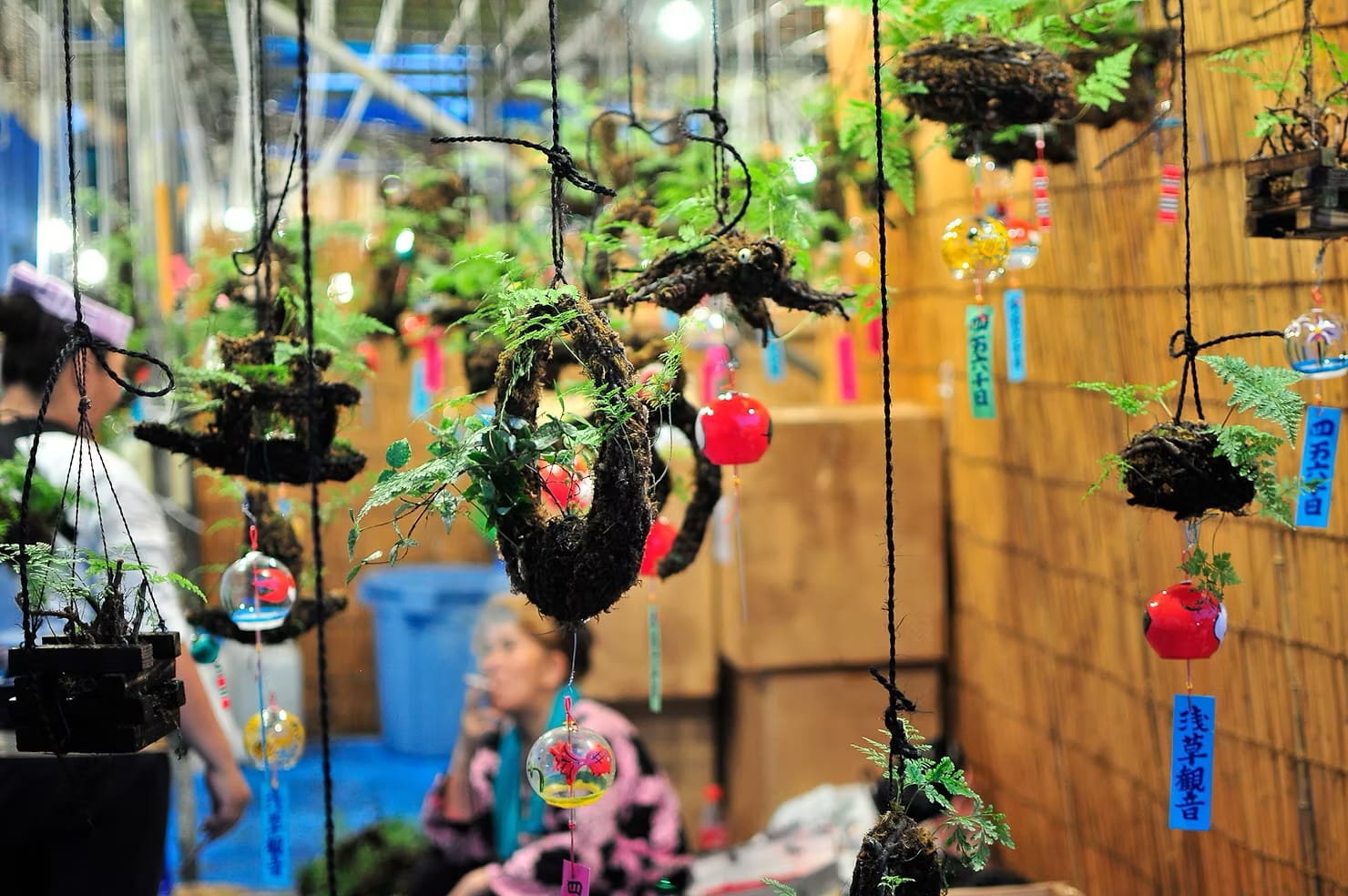 Wind chimes hanging from a stall at a summer festival in Asakusa, Tokyo