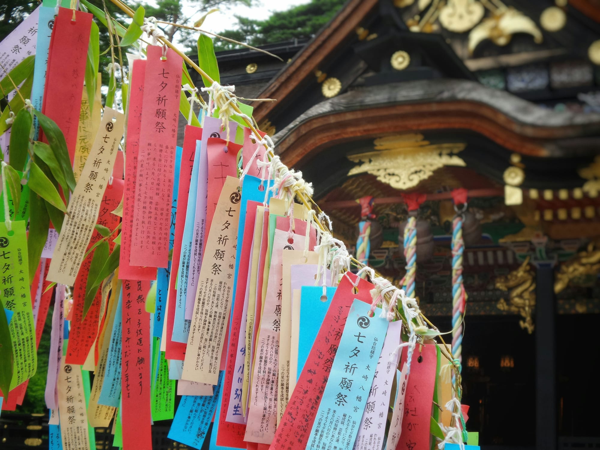 Colourful tanzaku wish strips hanging near a shrine