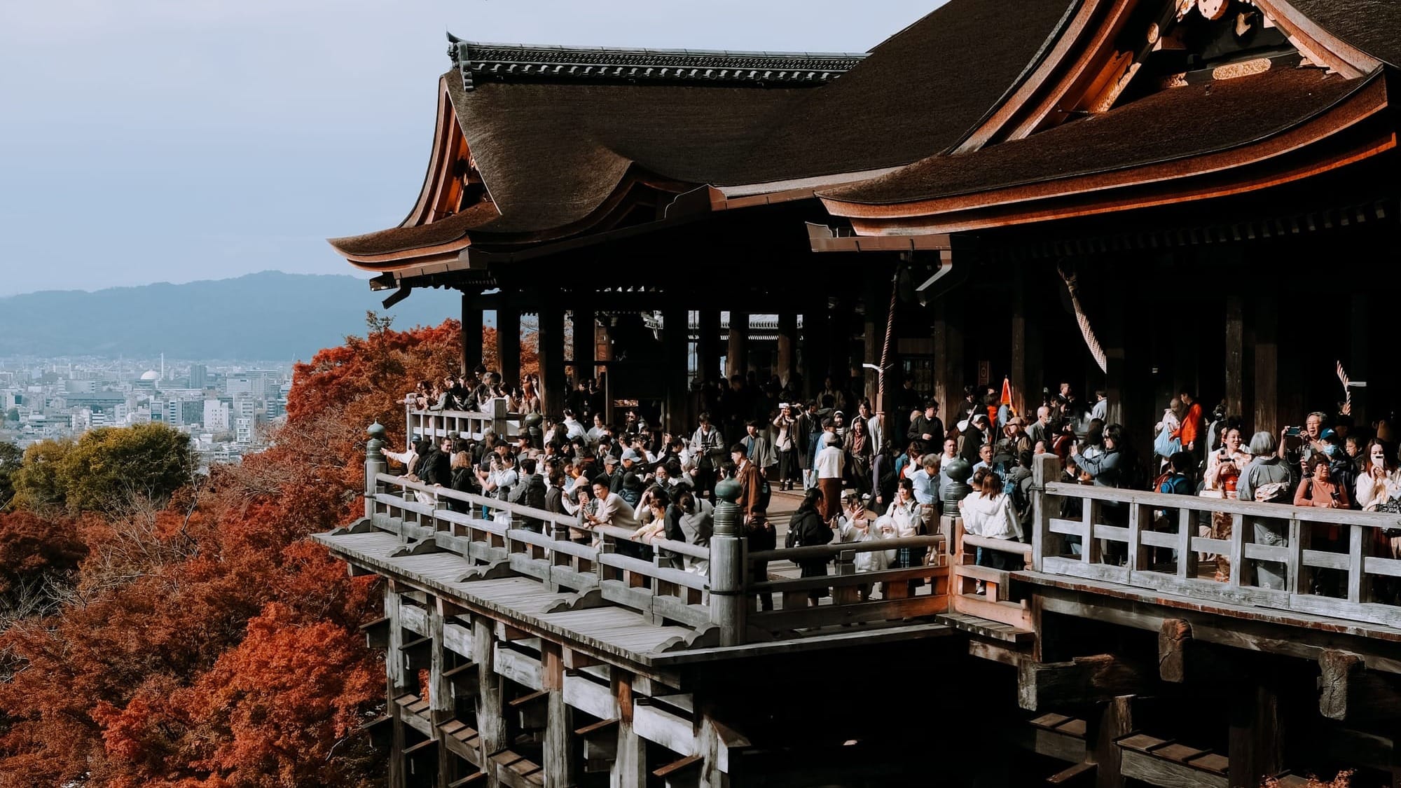 Fall foliage scene at Kiyomizu-dera Temple in Kyoto with red foliage and crowds enjoying the view.