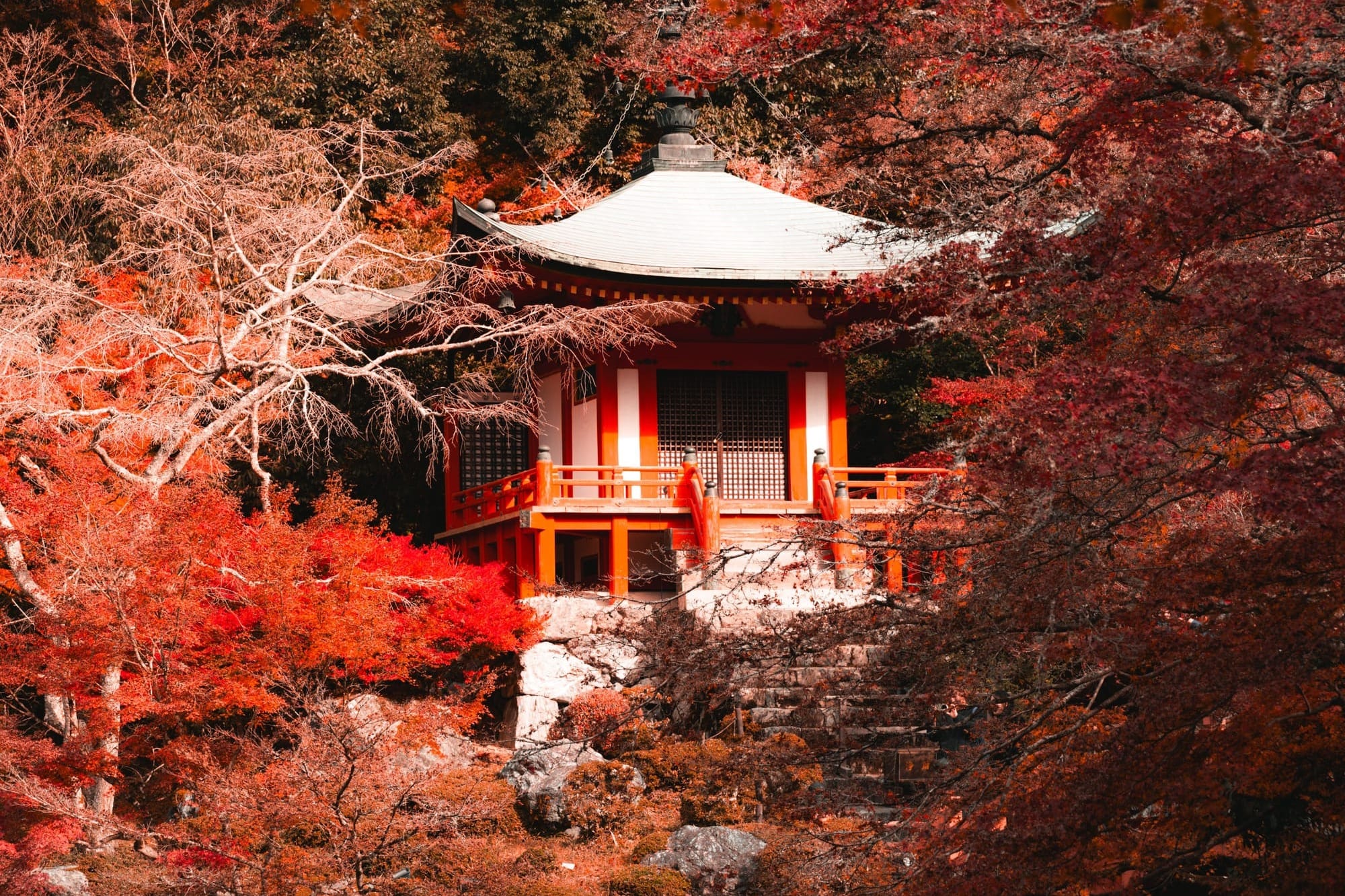 A serene Japanese pavilion with a white roof glows among vivid red fall season trees, reflected in a dark, tranquil pond in a quiet garden.