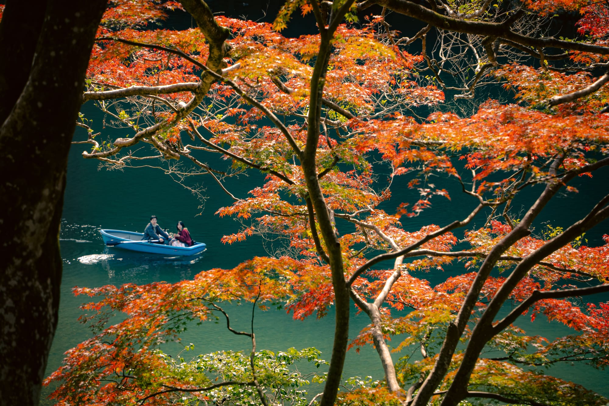 A blue rowboat on teal water framed by red maple leaves and orange Japanese maple branches.