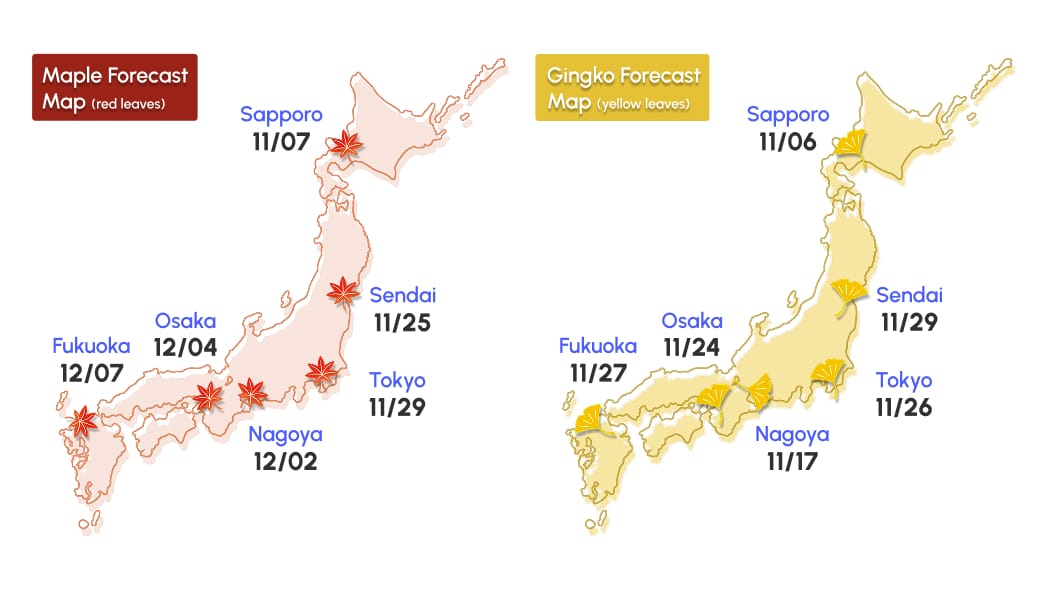 Side-by-side forecast maps of Japan showing peak fall foliage dates, with red maple leaf icons on the left map and yellow ginkgo leaf icons on the right, marking cities from Sapporo down to Fukuoka.