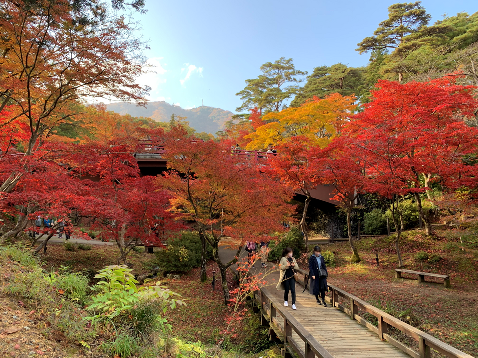 People walking a wooden boardwalk past autumn foliage, while wrapped up in lightweight coats.