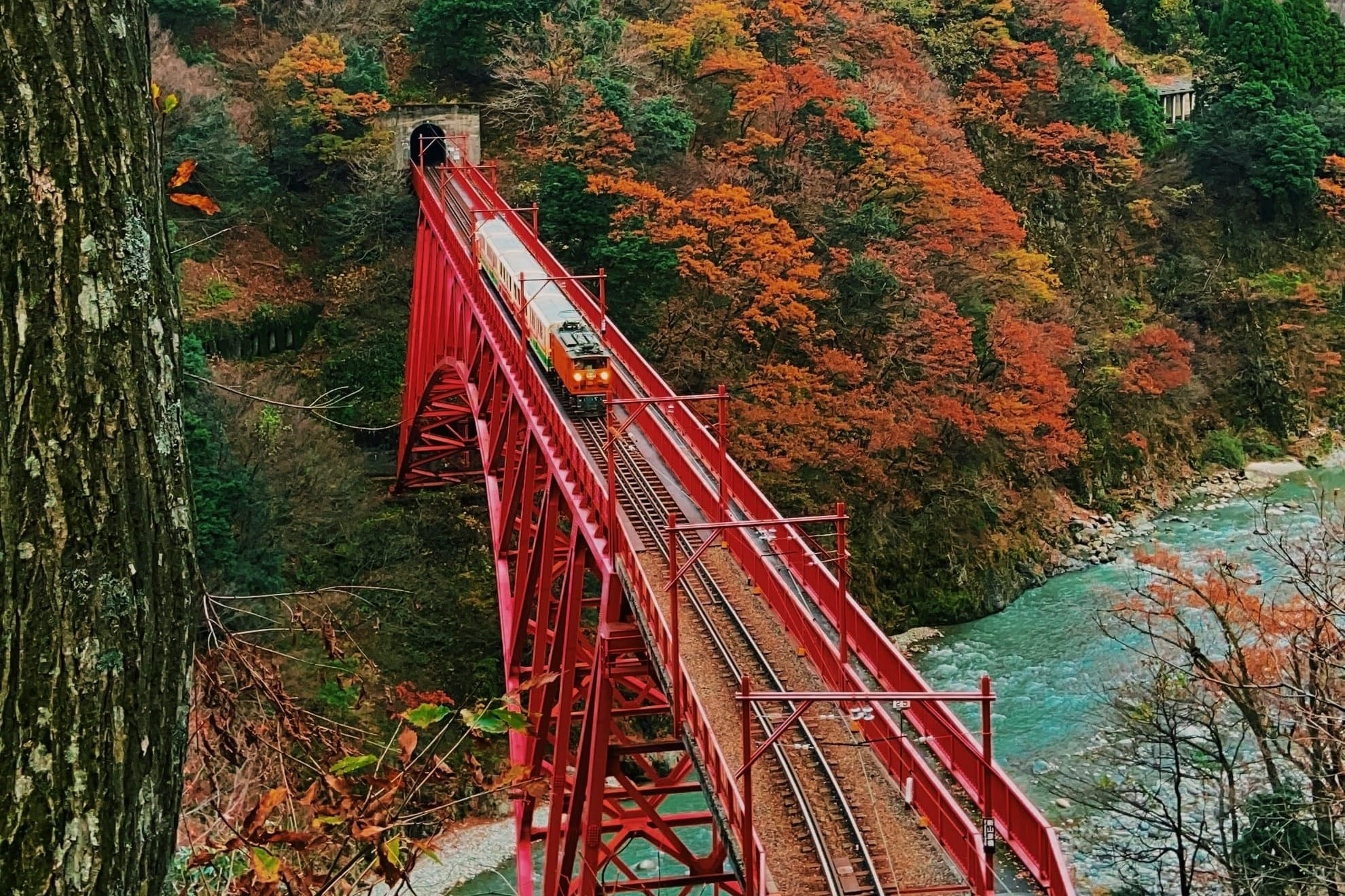 A small train crosses a bright red steel truss bridge toward a tunnel mouth, high above a turquoise river in a gorge blanketed with orange, rust, and evergreen fall foliage.