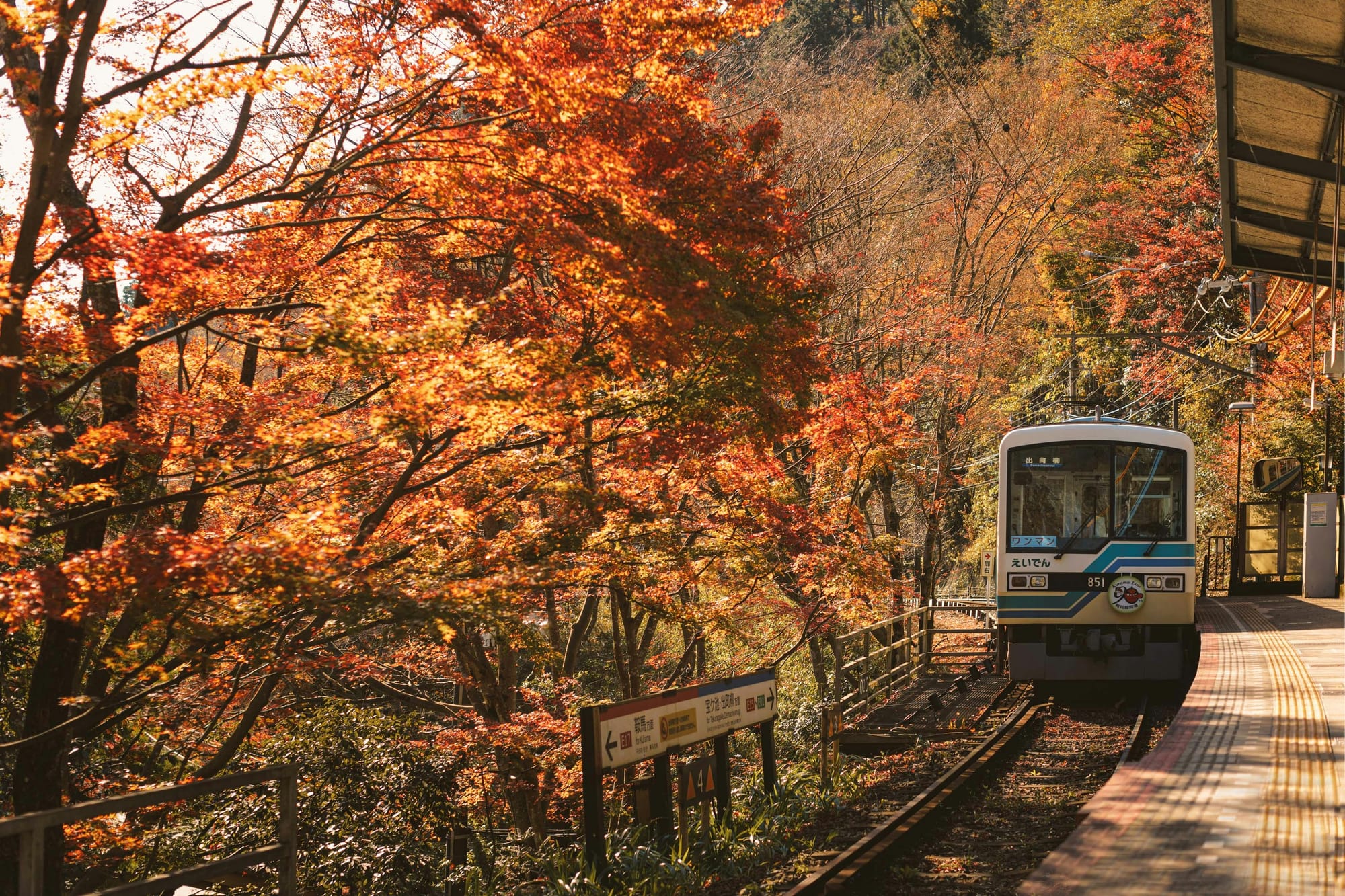 Blue-and-white train at an open-air platform framed by red and gold autumn maple leaves.