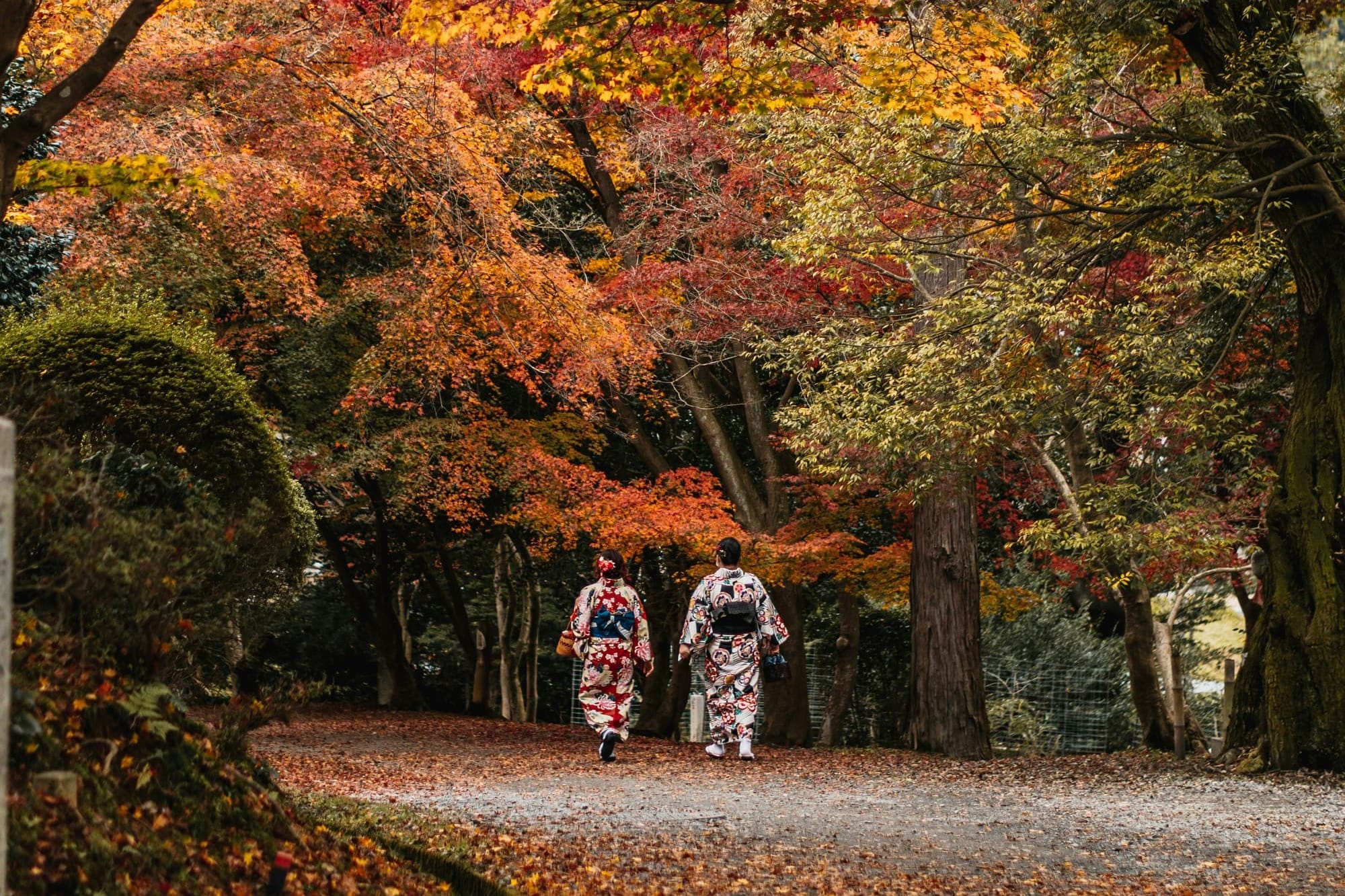 Two girls dressed in brightly colored yukata walk a path surrounded by fall foliage, with fallen leaves at their feet.