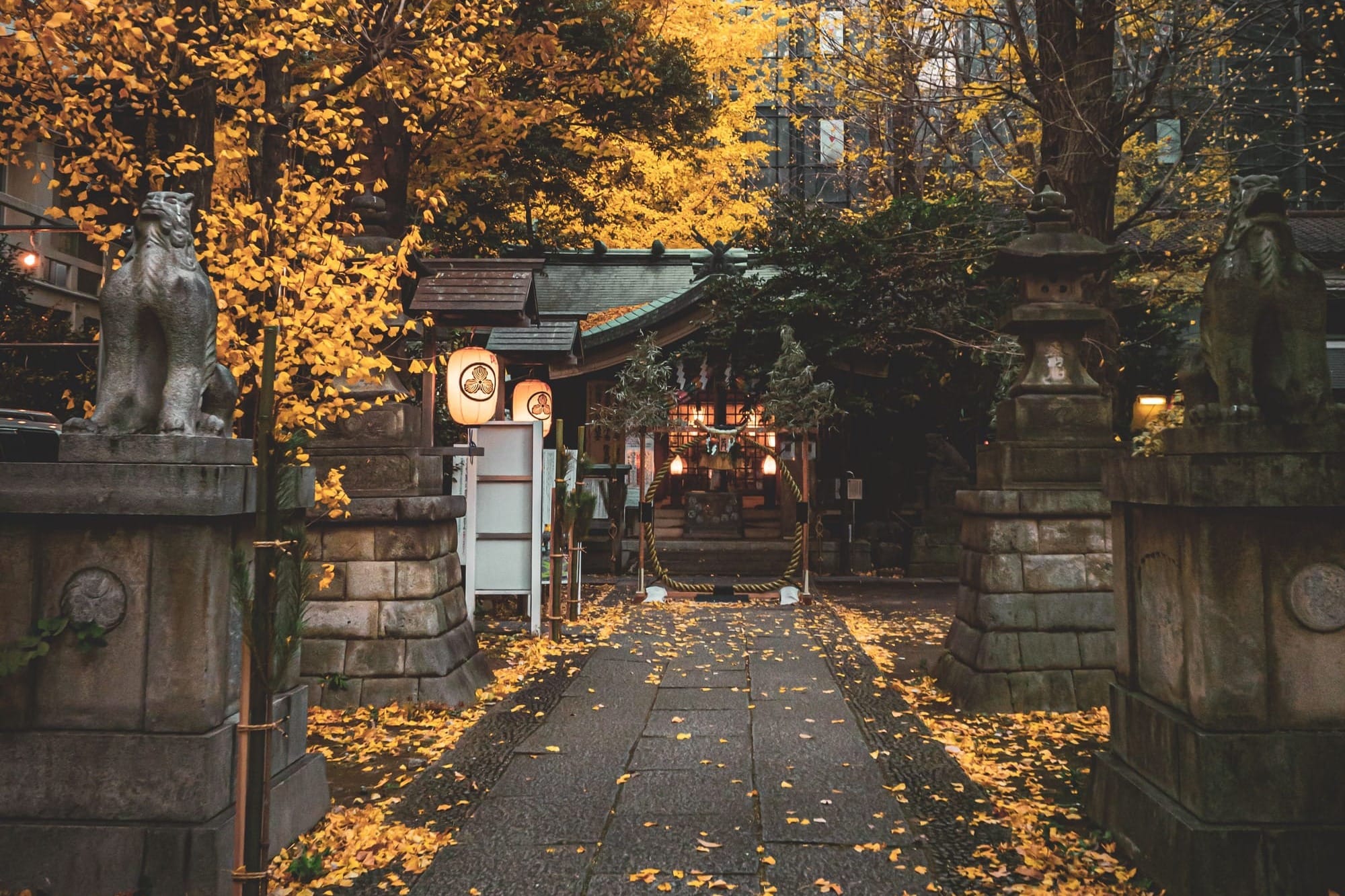 Stone guardian lion-dogs and lit paper lanterns flank a shrine path carpeted with fallen yellow ginkgo leaves, a glass office tower rising behind the trees at dusk.