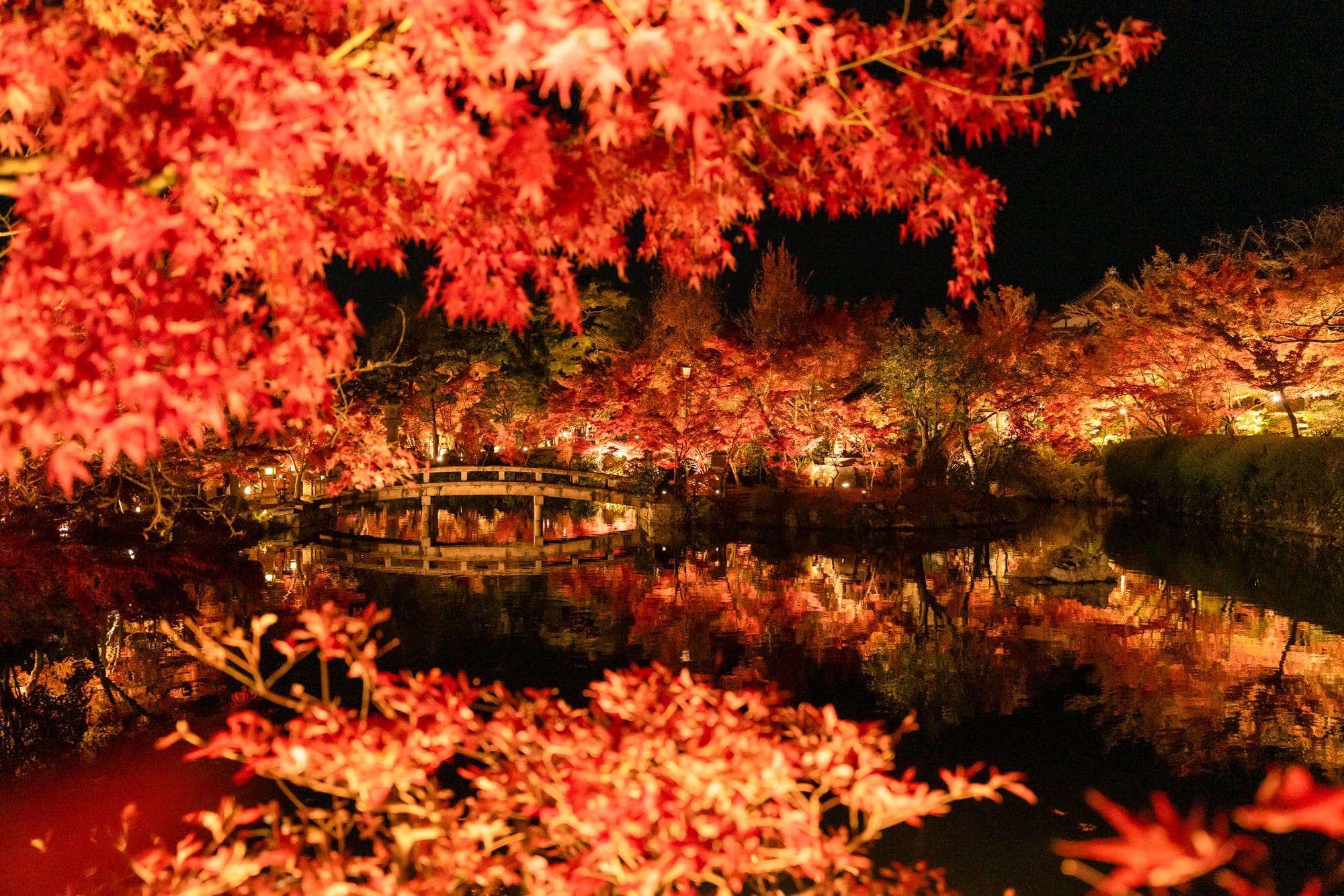 Autumnal red maple leaves illumination over a tranquil pond reflecting a Japanese bridge at night.