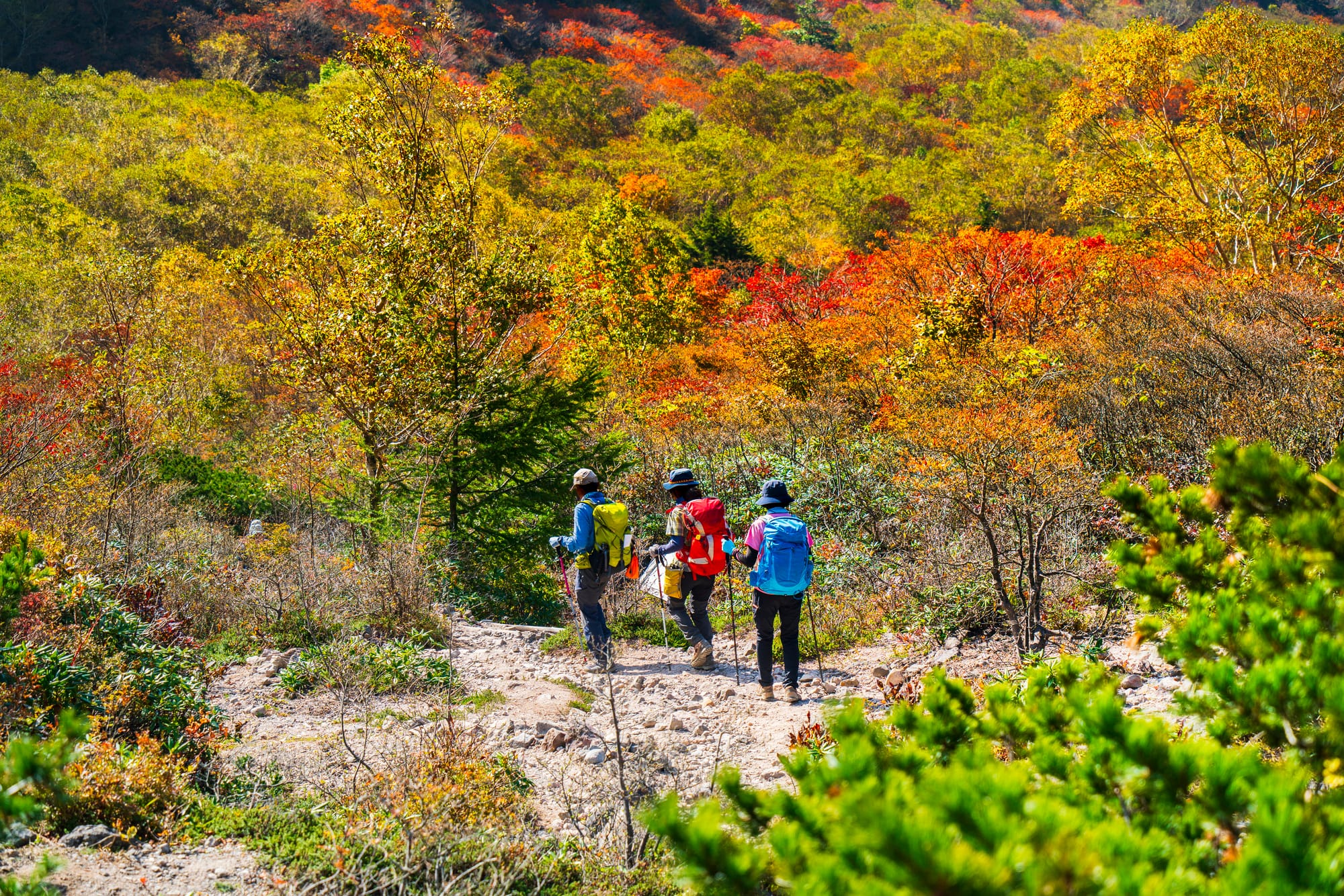 People walking along the mountain trail with autumn leaves.