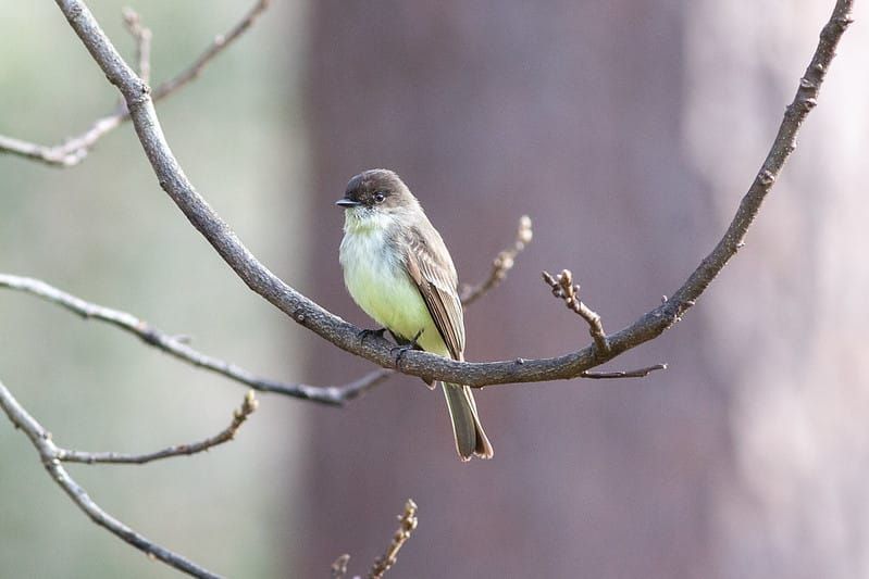 Origins of an Obsession: Part 2