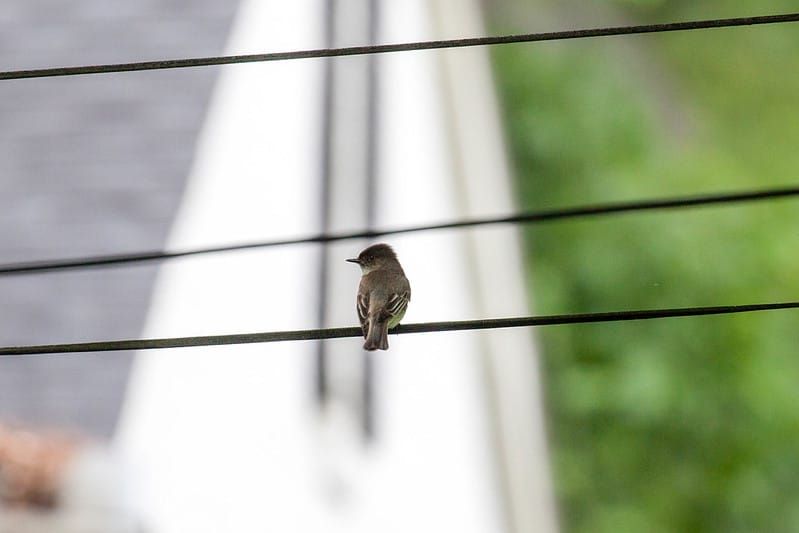 Origins of an Obsession: Part 3