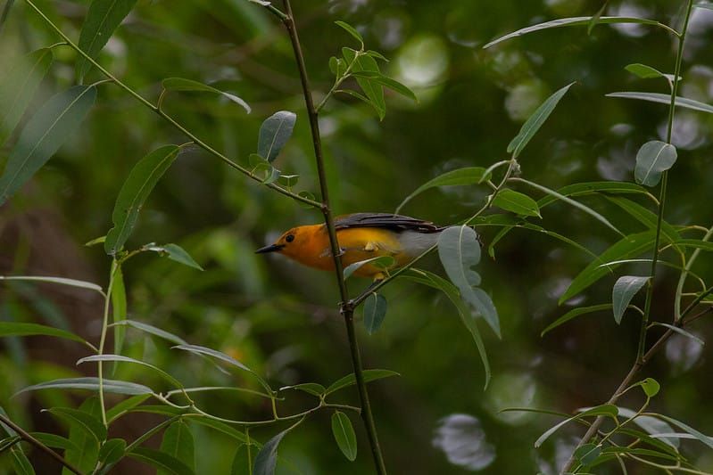 Waiting Isn’t Wasted Time