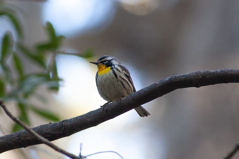 What is There to a Place?