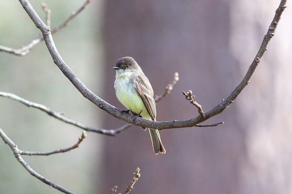 Origins of an Obsession: Part 2