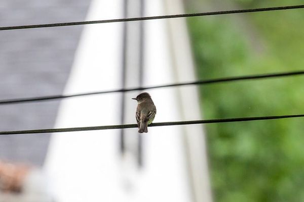 Origins of an Obsession: Part 3