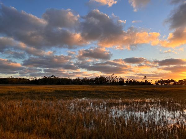 Jekyll Island and the Start of a Big Year