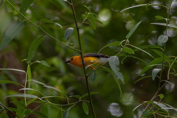 Waiting Isn’t Wasted Time