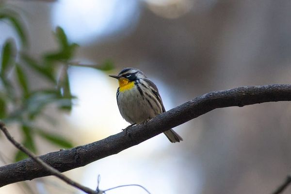 What is There to a Place?