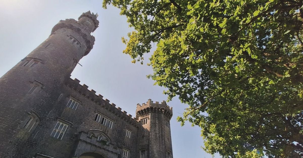 Best Hiking Trails in Offaly: Your Complete Walking Guide to Ireland's Faithful County