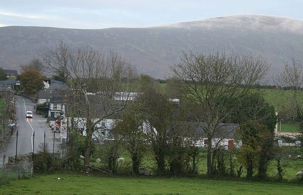 Best Places to Hike in County Carlow: Local Trails That Serious Walkers Need to Know About