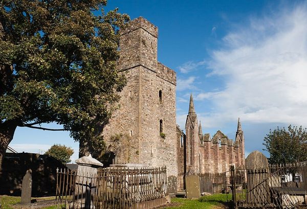 Things to Do in Wexford: The Ultimate Local's Handbook