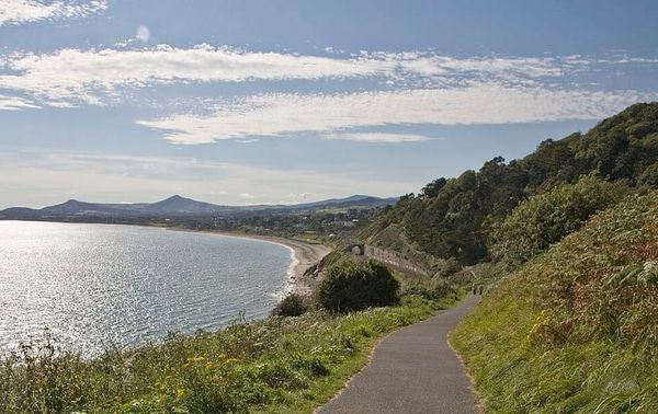 Best Hiking Trails in County Dublin: A Comprehensive Local's Guide