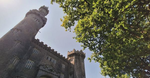 Best Hiking Trails in Offaly: Your Complete Walking Guide to Ireland's Faithful County